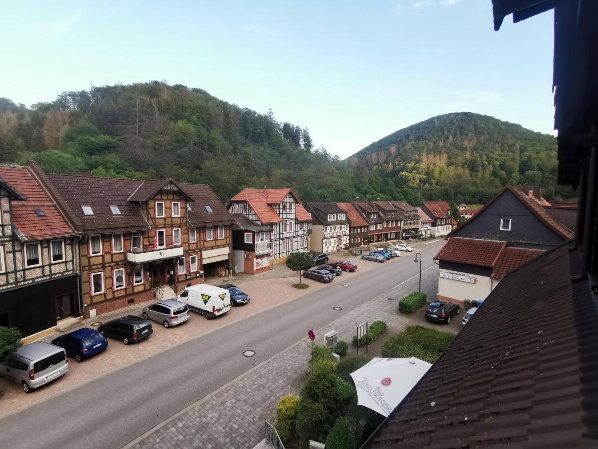 Hotel And Restaurant Bergschloesschen Zorge Exteriör bild
