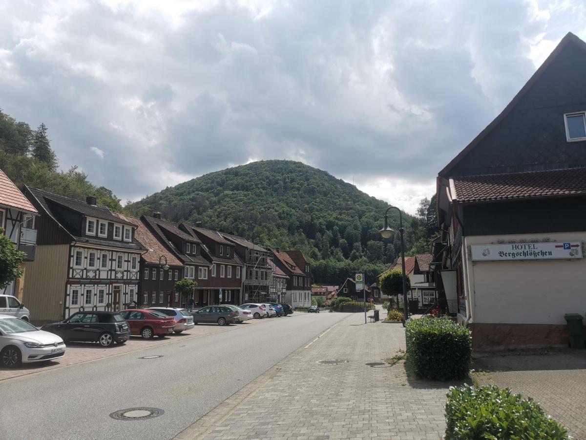Hotel And Restaurant Bergschloesschen Zorge Exteriör bild